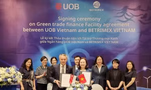 UOB Việt Nam tài trợ tín dụng xanh thúc đẩy sản xuất dừa bền vững
