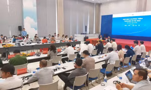 Bình Dương tổ chức Diễn đàn Hợp tác kinh tế Horasis Ấn Độ năm 2022, hội tụ nhiều khách quốc tế