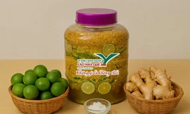 Chanh gừng đường phèn tăng cường đề kháng tự nhiên trong mùa bệnh hô hấp