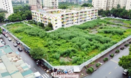 Cơ sở lúng túng với thủ tục đất đai, Cục Quản lý đất đai đề xuất tháo gỡ