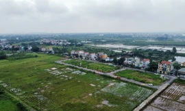 Kéo dài miễn thuế sử dụng đất nông nghiệp thêm 5 năm