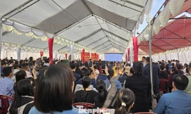 Đấu giá đất vùng quê: Giá 'bị đẩy' lên cao gấp 3 lần giá khởi điểm