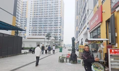 Ảnh minh họa. Ảnh: Nguyễn Thắng