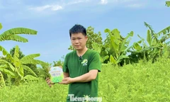 Một mô hình khởi nghiệp giảm nghèo bền vững, làm giàu tiêu biểu của thanh niên tỉnh Bắc Ninh.