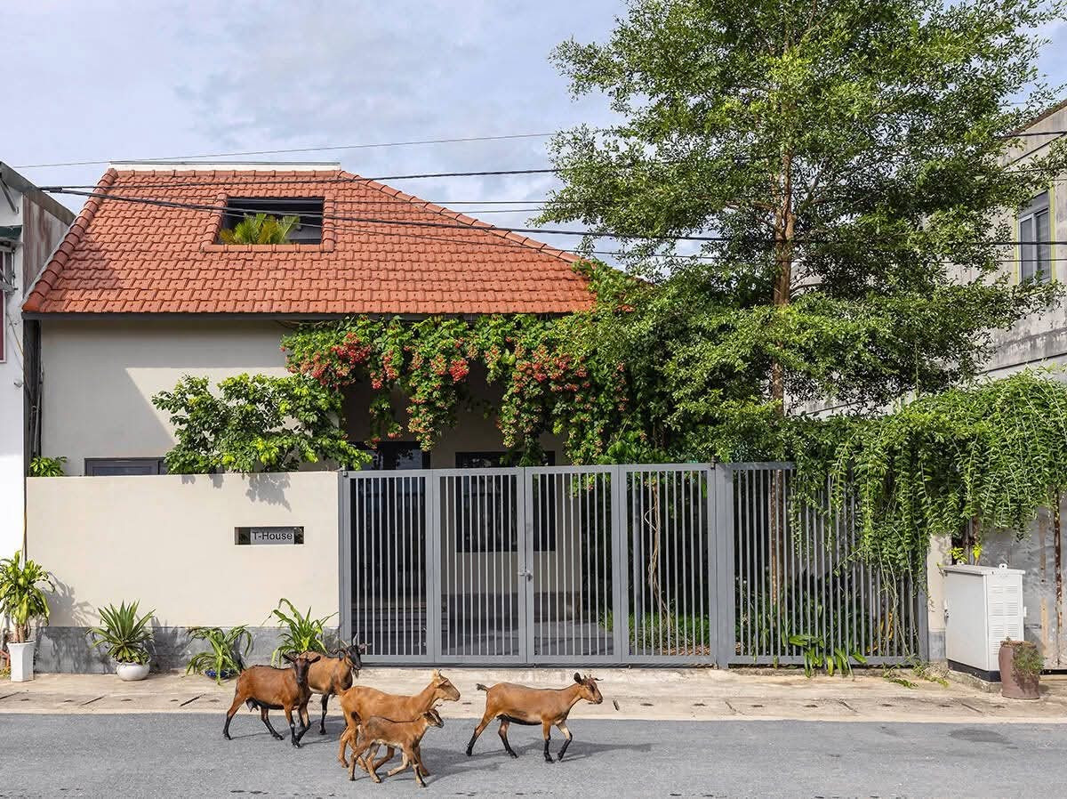 Nhà '1 gian' 130m2 tái hiện nếp sống làng quê