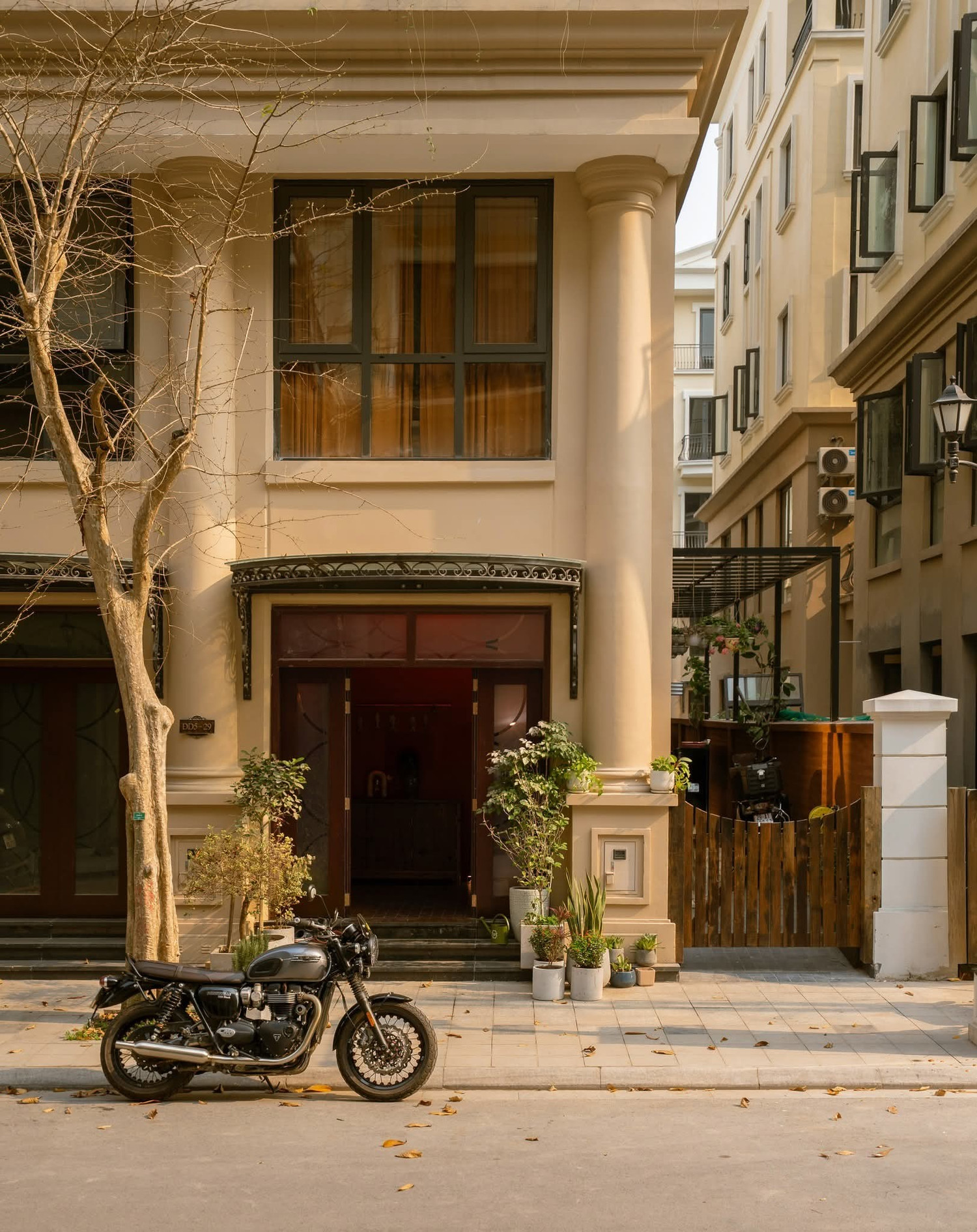 Nhà 'hang cá' 240m2 nổi bật với phong cách thô mộc và bảng màu cá tính