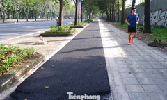 Diện mạo làn xe đạp đầu tiên ở TPHCM sau 2 tháng thi công 