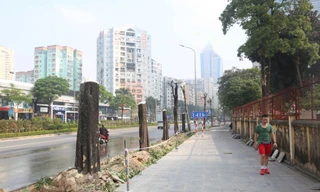 Hà Nội xén vỉa hè, chặt chuyển cây xanh