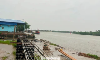 Lũ vượt báo động 3, Hưng Yên yêu cầu trực đê 24/24, có phương án di dời dân