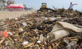 Cảnh tượng khó coi trên bãi biển ở TPHCM