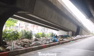 Chủ tịch Hà Nội chỉ đạo xử lý tình trạng rác dày đặc đường Vành đai 2, Vành đai 3