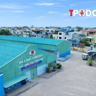 NÓNG 15/1: Vụ Công ty CP đồ hộp Hạ Long: Một nữ cán bộ ra đầu thú