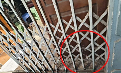 Hà Nội: Bị cảnh sát bao vây, nhóm tội phạm ma túy dùng súng chống trả