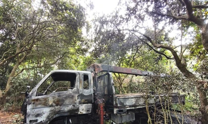 Hà Nội: Xe tải cẩu cây vướng dây điện, tài xế tử vong