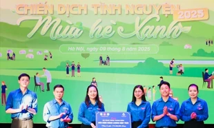 Mùa hè xanh là mảng màu rực rỡ của tuổi trẻ