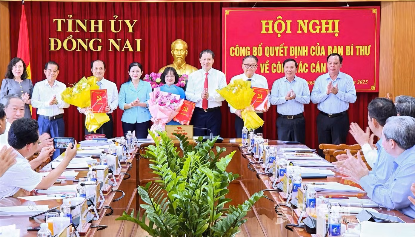 dong-700.jpg