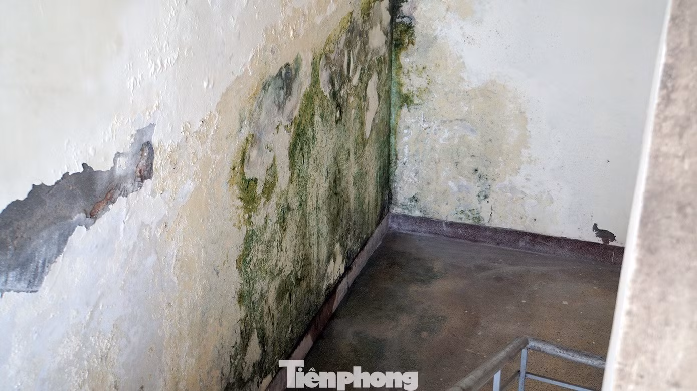 tp-bv-phoi-hai-phong-10.jpg