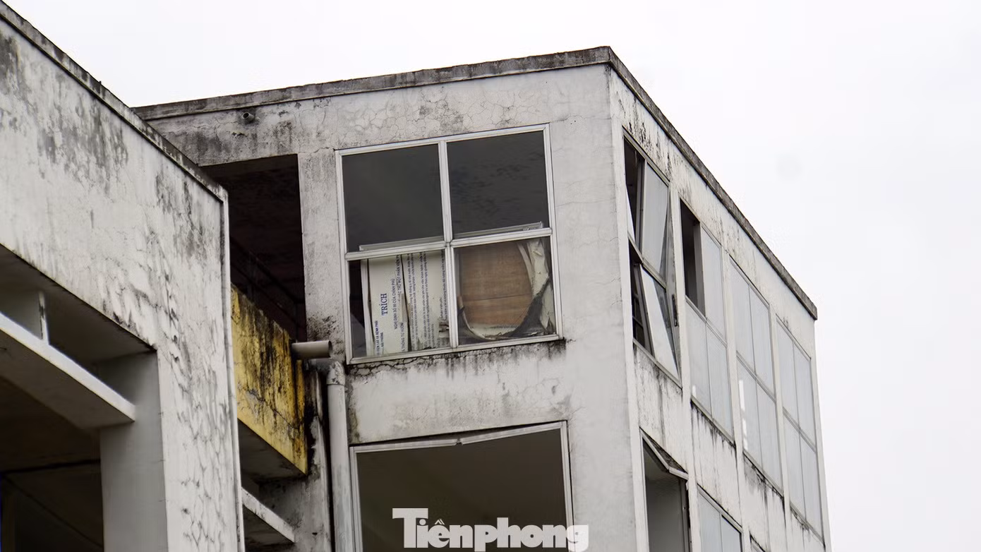 tp-bv-phoi-hai-phong-20.jpg