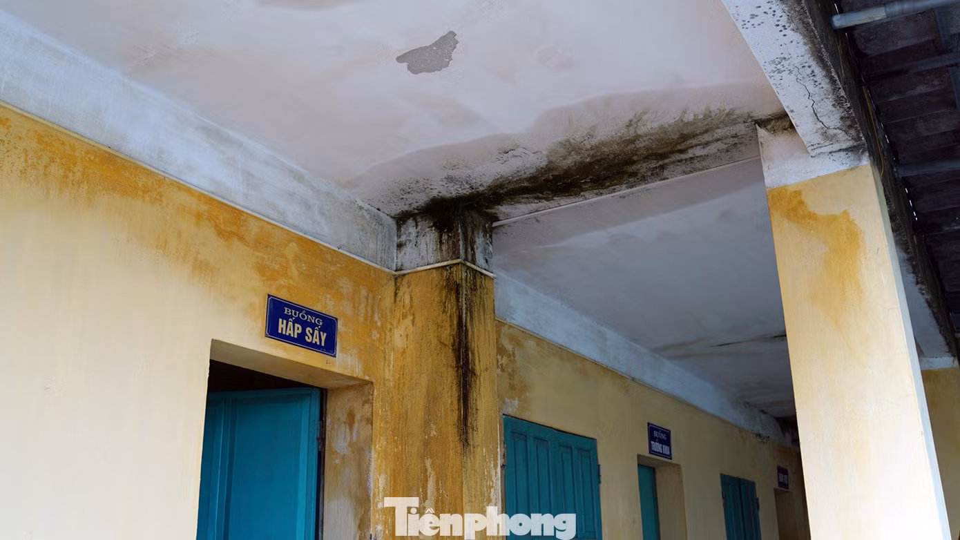 tp-bv-phoi-hai-phong-18.jpg