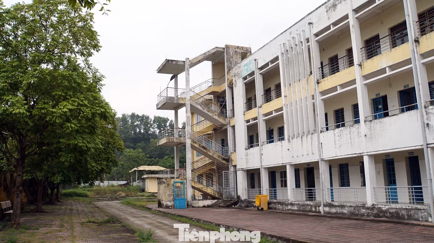 tp-bv-phoi-hai-phong-2.jpg