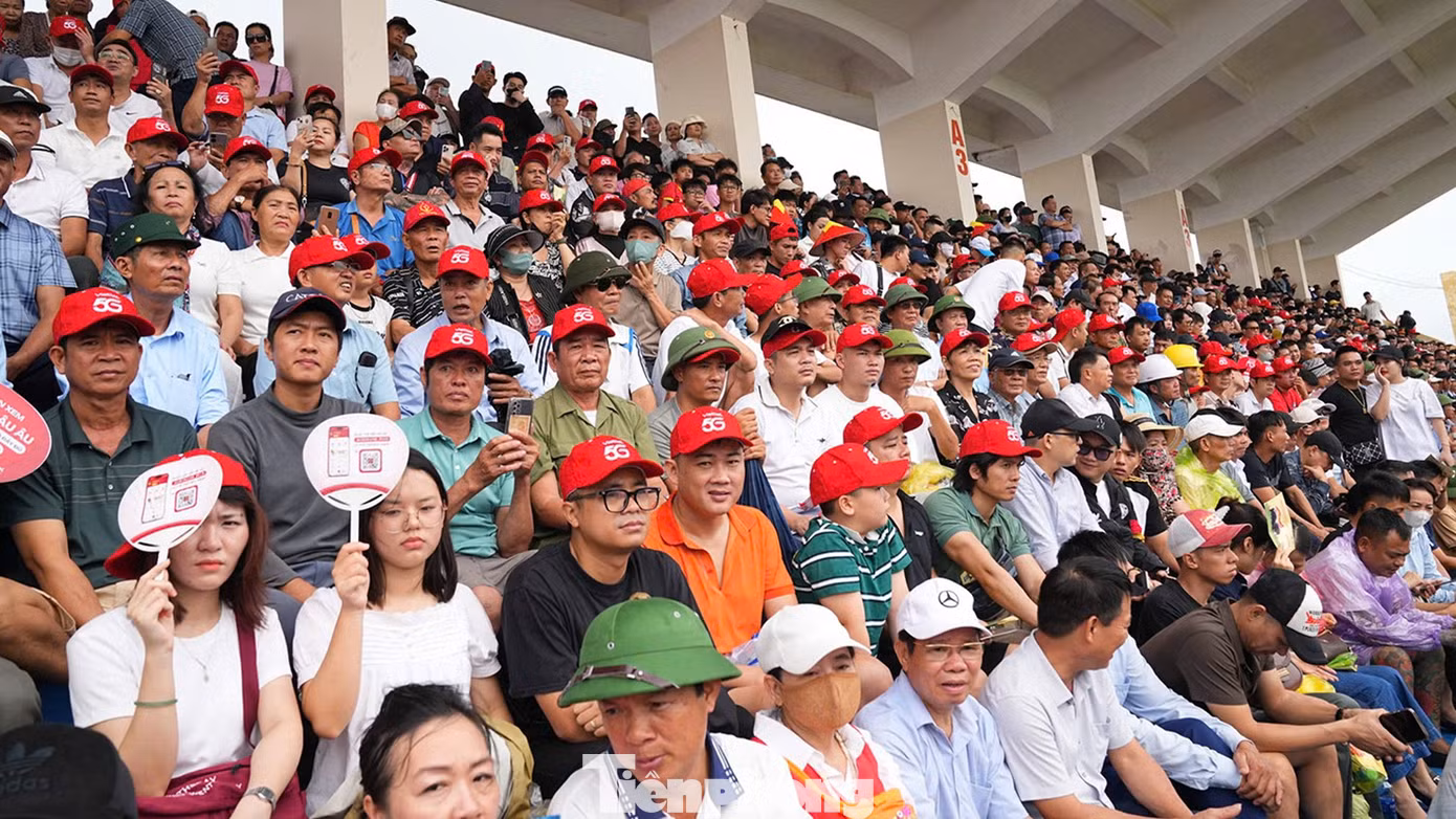 tp-choi-trau-7.jpg