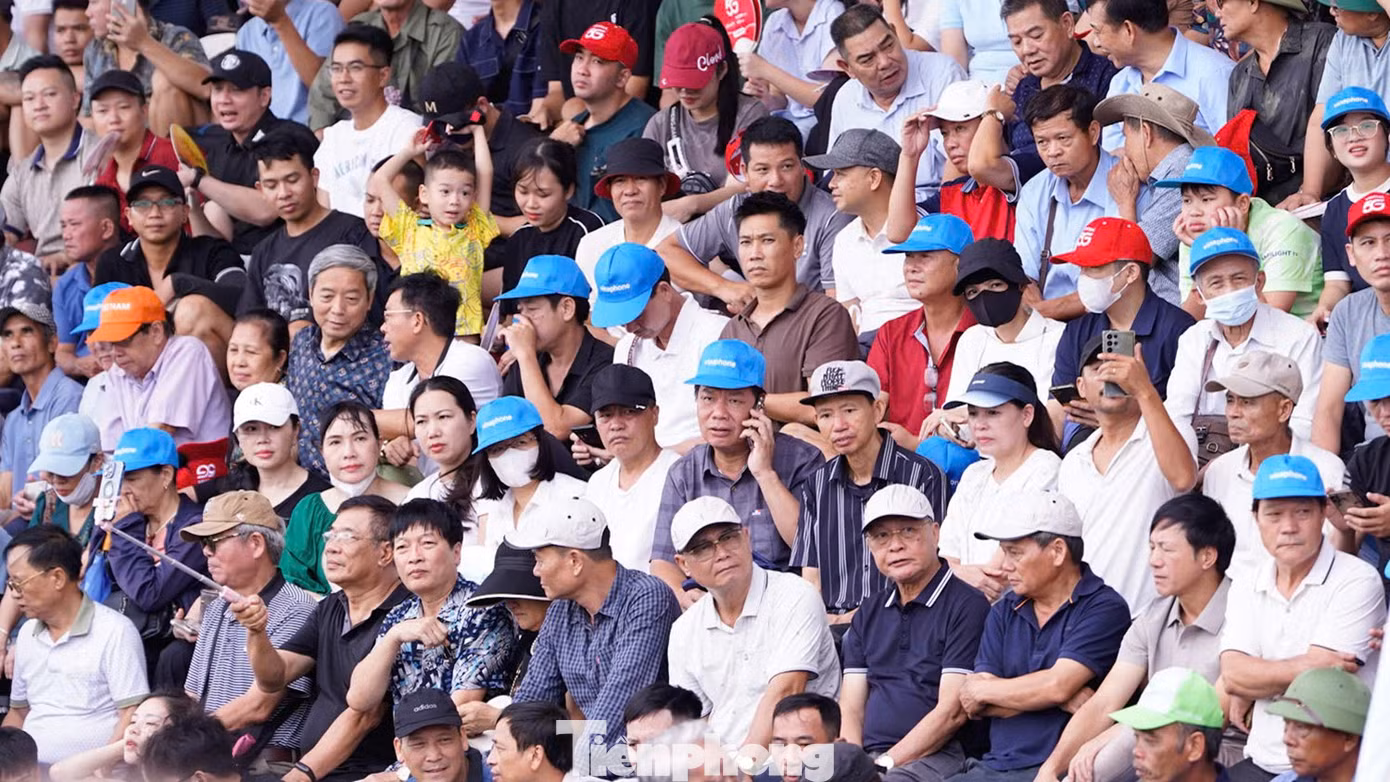 tp-choi-trau-15.jpg