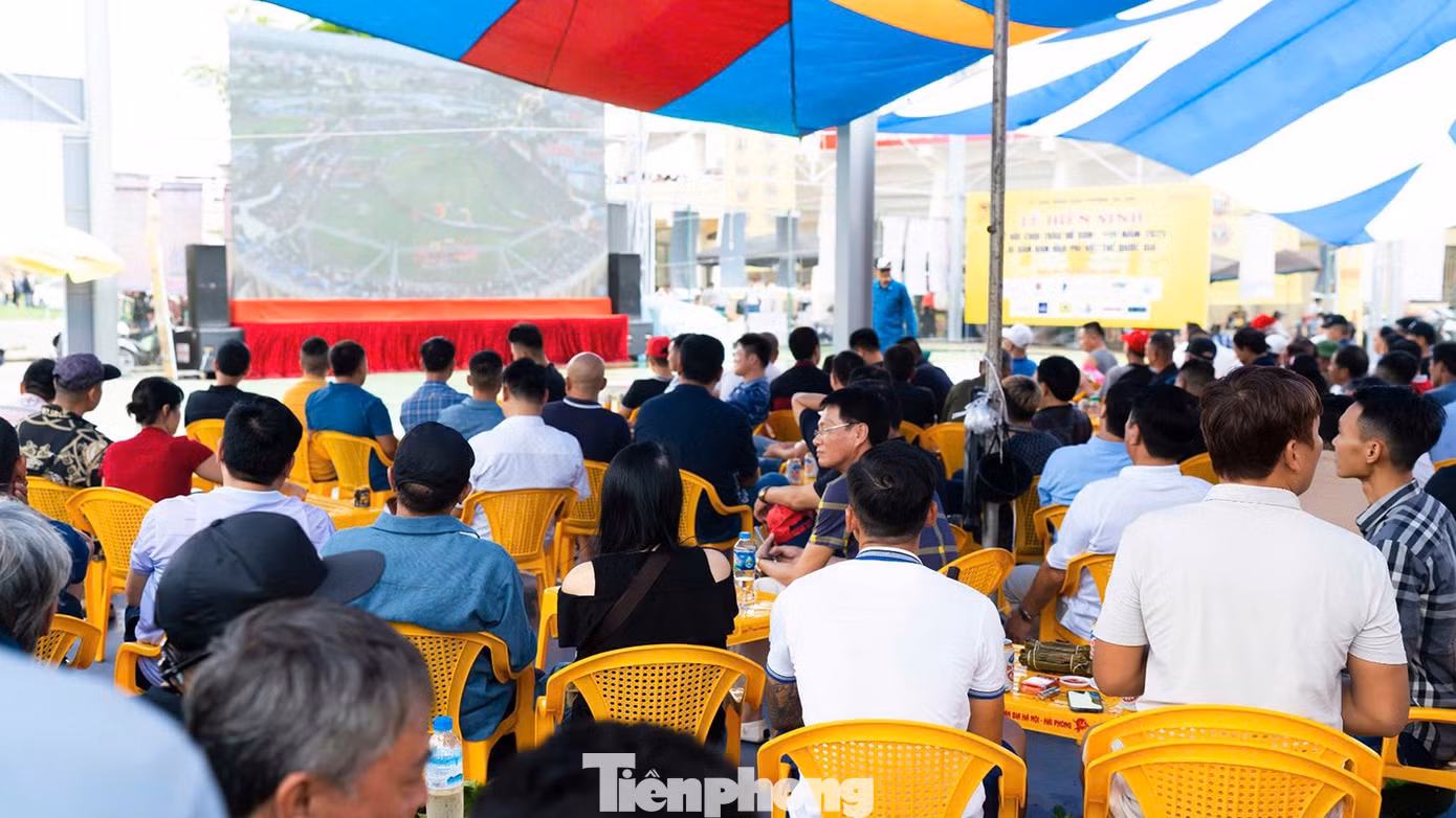 tp-choi-trau-24.jpg