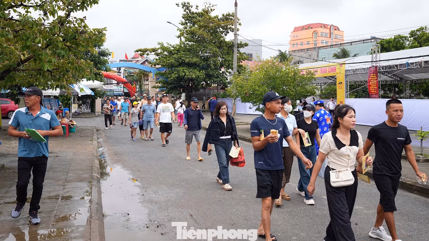 tp-choi-trau-20.jpg