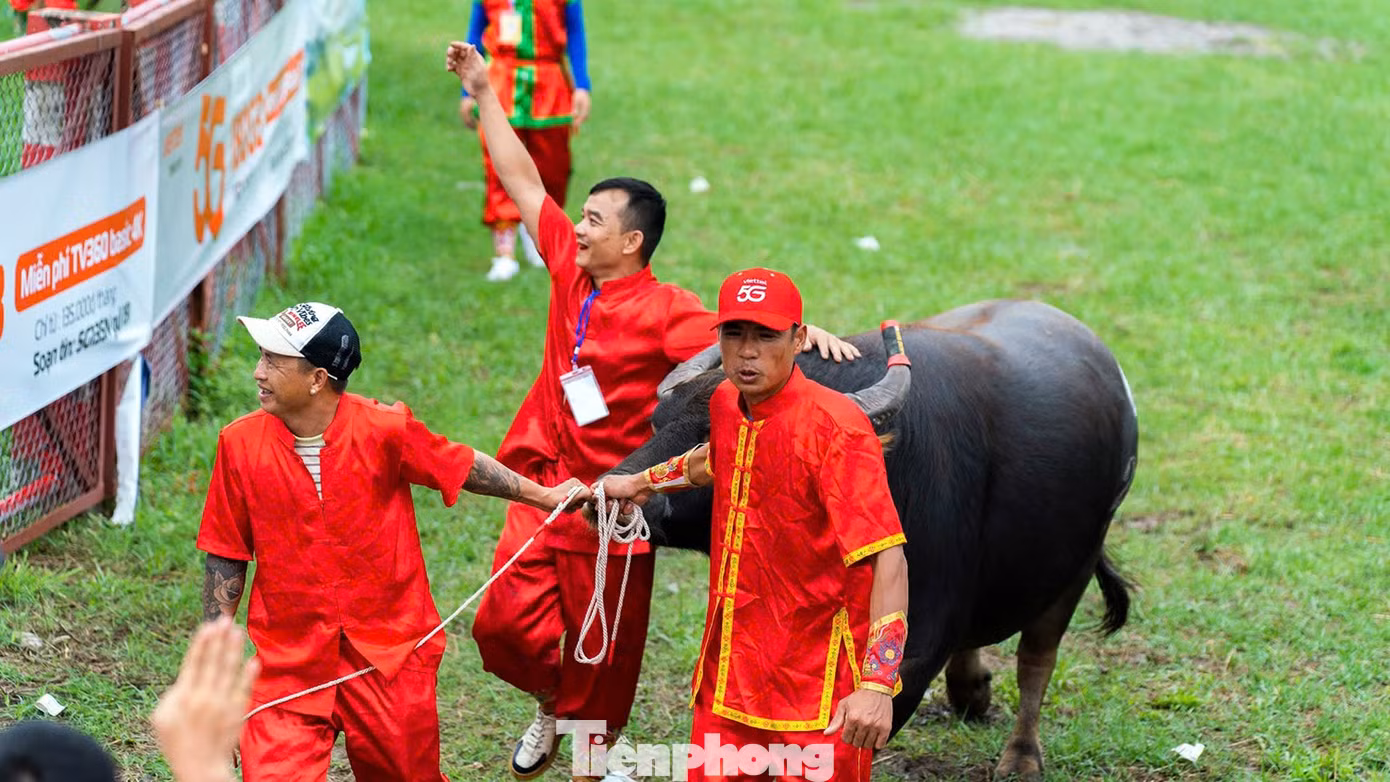 tp-choi-trau-21.jpg