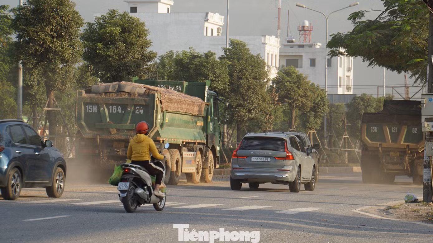 tp-bui-13.jpg