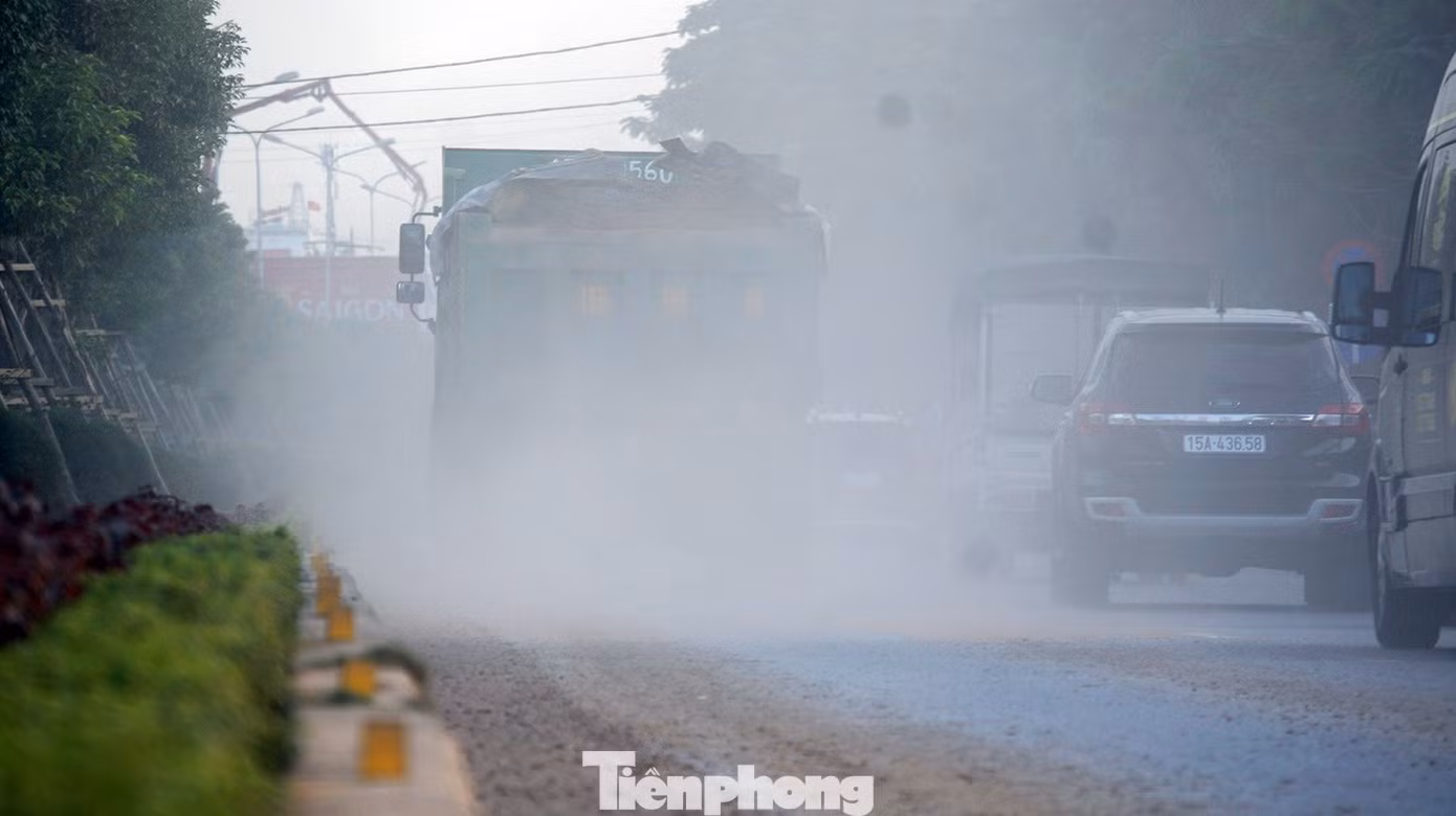 tp-bui-3.jpg