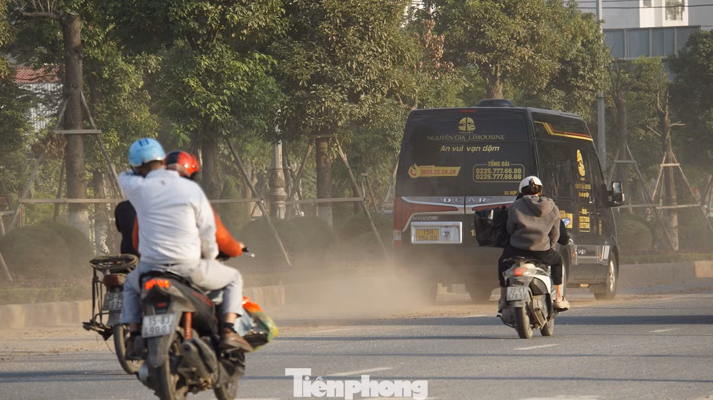 tp-bui-17.jpg