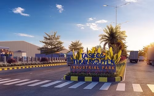 taseco2.jpg