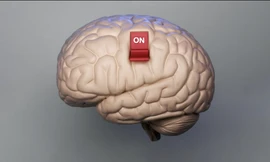 Các nhà khoa học tiết lộ: 'Caffeine có thể kéo dài tuổi thọ'