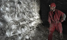 'Rùng mình' mạng nhện lớn nhất thế giới với 111.000 con 