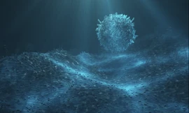 Bí hiểm 'quả cầu tử thần ăn thịt' như ngoài hành tinh trồi lên từ đáy sâu đại dương