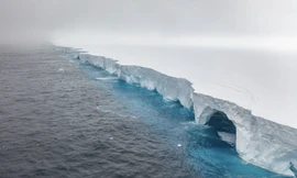 Điều gì đang xảy ra với tảng băng trôi lớn và kỳ thú nhất thế giới có diện tích 4.000 km²?