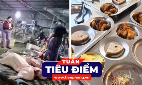 TIÊU ĐIỂM: Ai chịu trách nhiệm để lợn bệnh vào bữa ăn của người tiêu dùng?