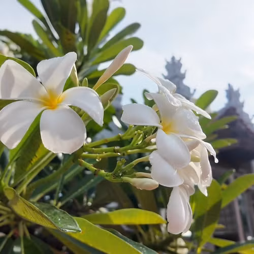 Những điểm tựa tâm linh nơi đầu sóng Trường Sa