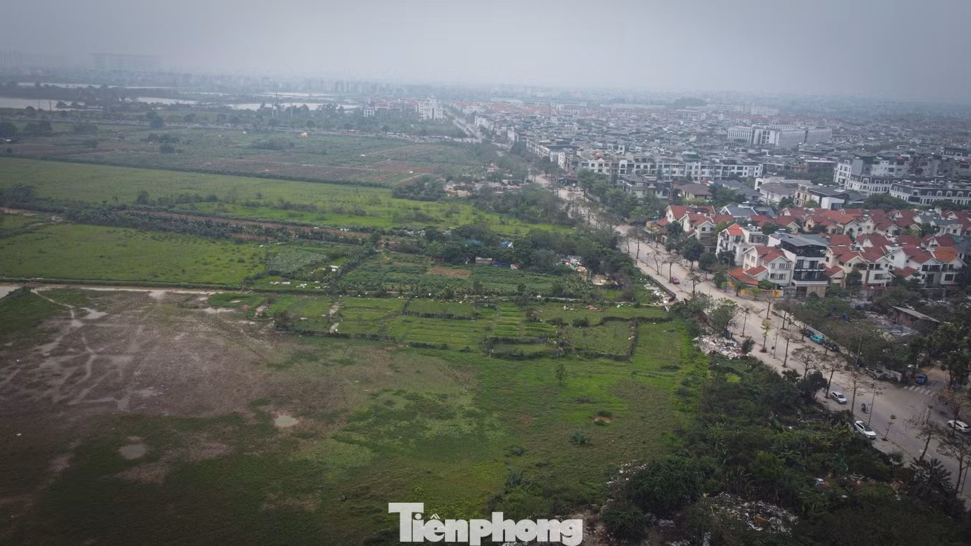 tp-nhieubai-33.jpg