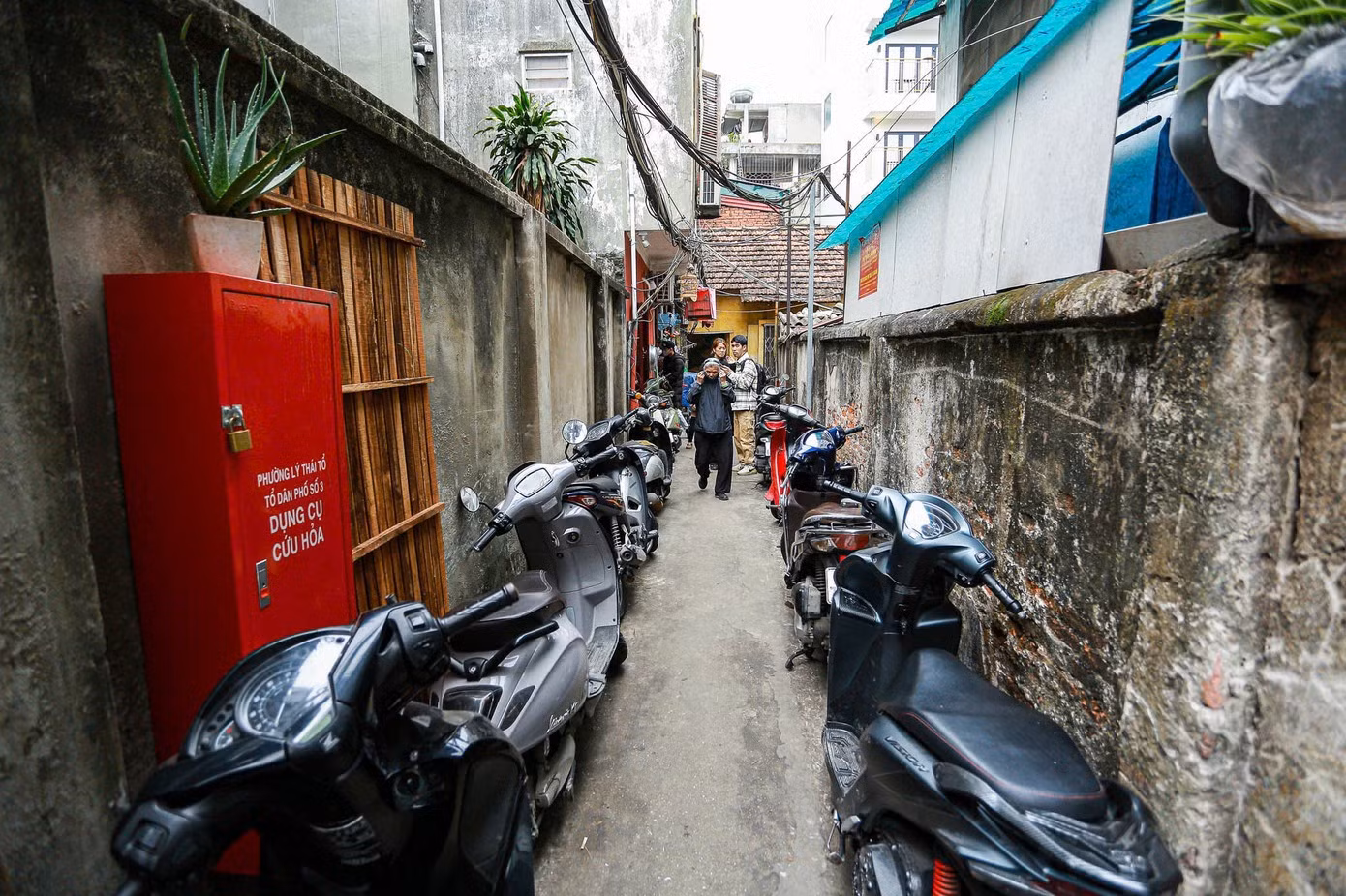image-9.jpg