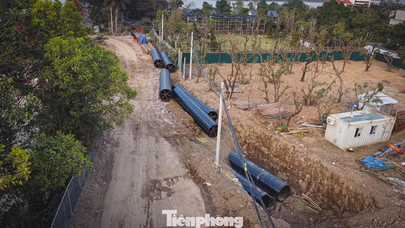 tp-chongngapciputra-12.jpg