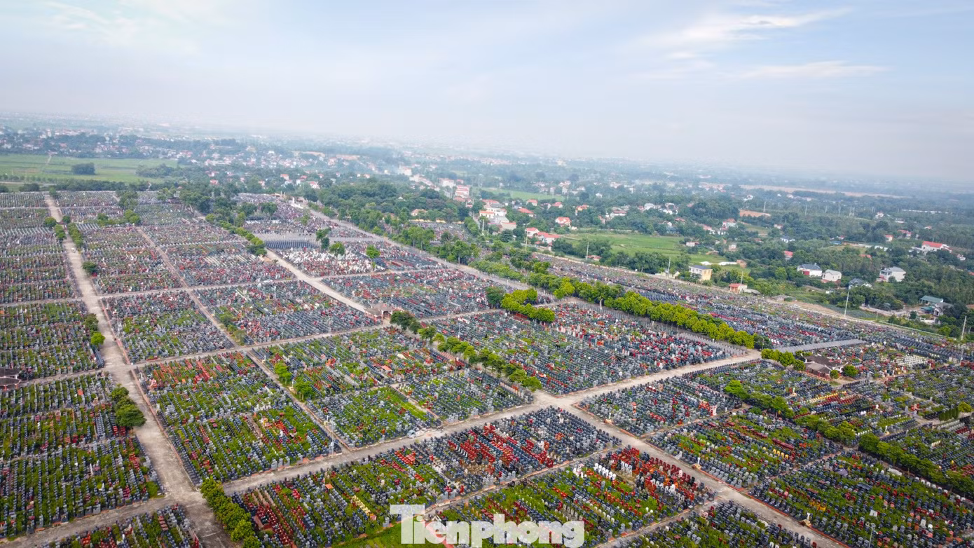 tp-nghiatrang-12.jpg