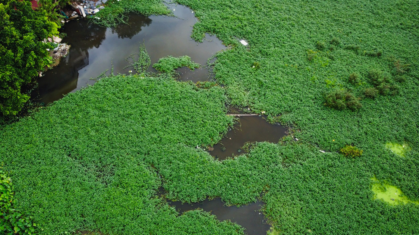 Do các hộ đang sử dụng đất hầu hết là nguồn gốc đất nông nghiệp, tự chuyển đổi mục đích sử dụng đất sang xây dựng công trình nên giá bồi thường, hỗ trợ về đất và công trình cho các hộ theo quy định thấp, do đó công tác GPMB gặp nhiều khó khăn.