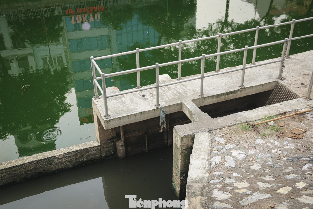tp-guixe-24.jpg
