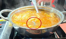 Hà Nội: Đang ăn, thực khách phát hiện có rết dài 10cm trong nồi lẩu