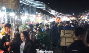 Biển người đổ về chợ hoa đêm 27 Tết
