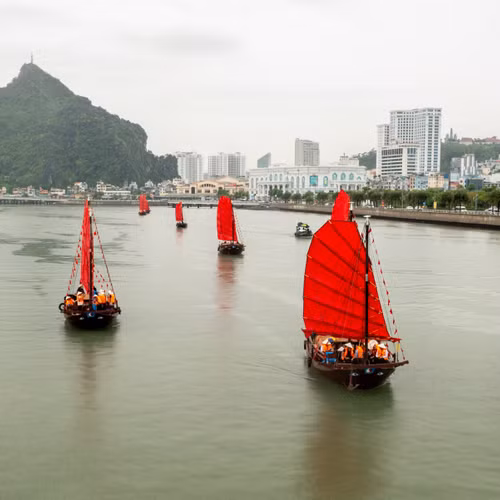 Vi vu thuyền buồm ba vách ngắm vịnh Hạ Long