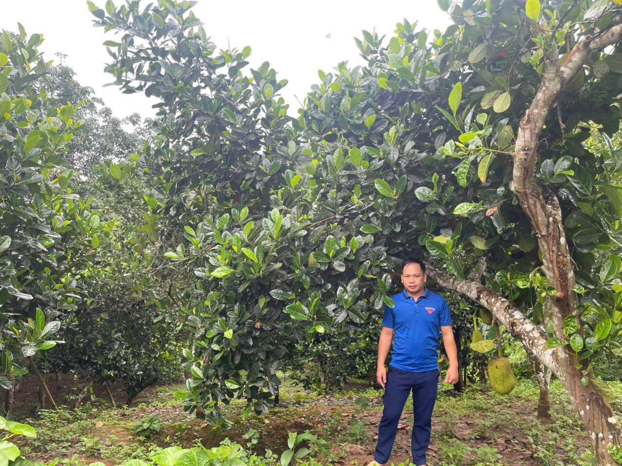 Anh Thắng cho biết đang lên kế hoạch phát triển mô hình nhà vườn kết hợp nhà hàng trong thời gian tới. z6793397825996-33610a8930b3d4f9732e1a985515f6c5.jpg