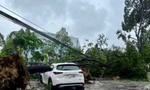  Bão số 5 đổ bộ, gần 250.000 hộ dân ở Thanh Hóa mất điện